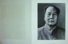 Image-Chine-carrousel-(7)