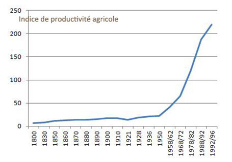 Evolution indice de productivité agricole