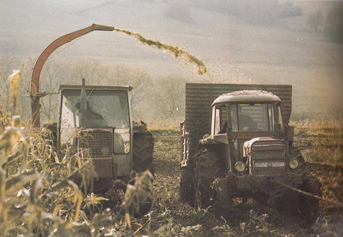 Agriculture recolte mécanisée maïs