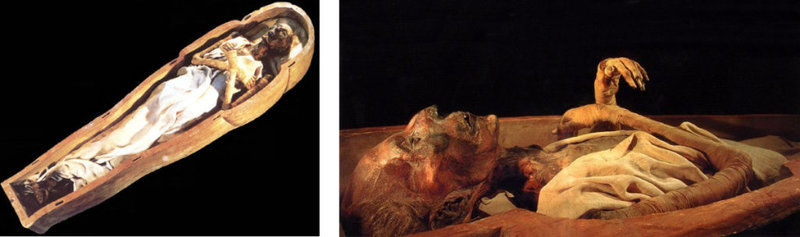 Composition Momie Ramses II