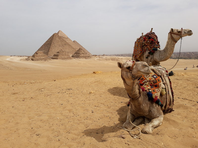 Pyramides de Guizeh
