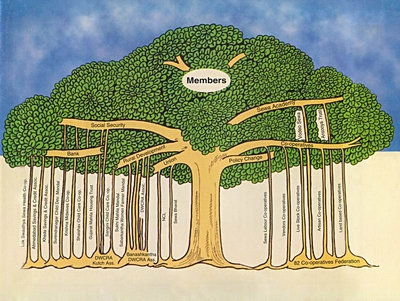 Sewa_banian_tree