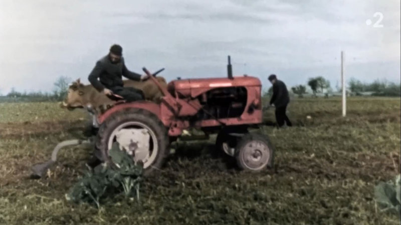 Nous paysans L'ancien et le nouveau