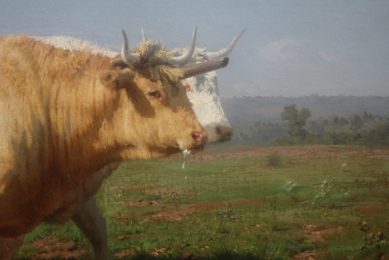 3  Le labourage nivernais Rosa Bonheur détail