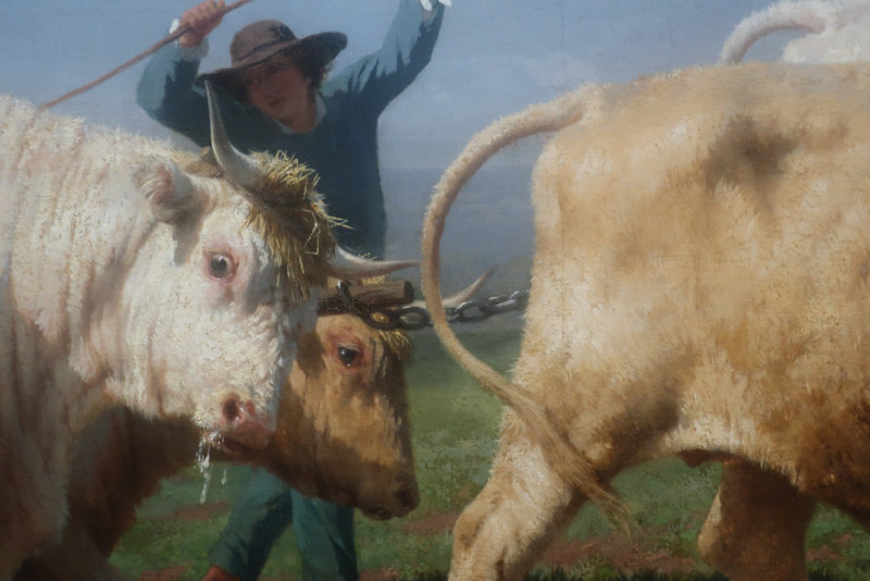 5 Le labourage nivernais Rosa Bonheur détail
