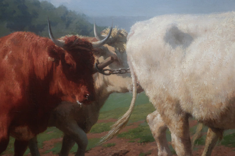 5 Le labourage nivernais Rosa Bonheur détail