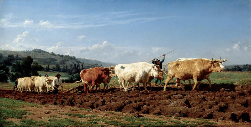 2 Le labourage nivernais Rosa Bonheur 1850