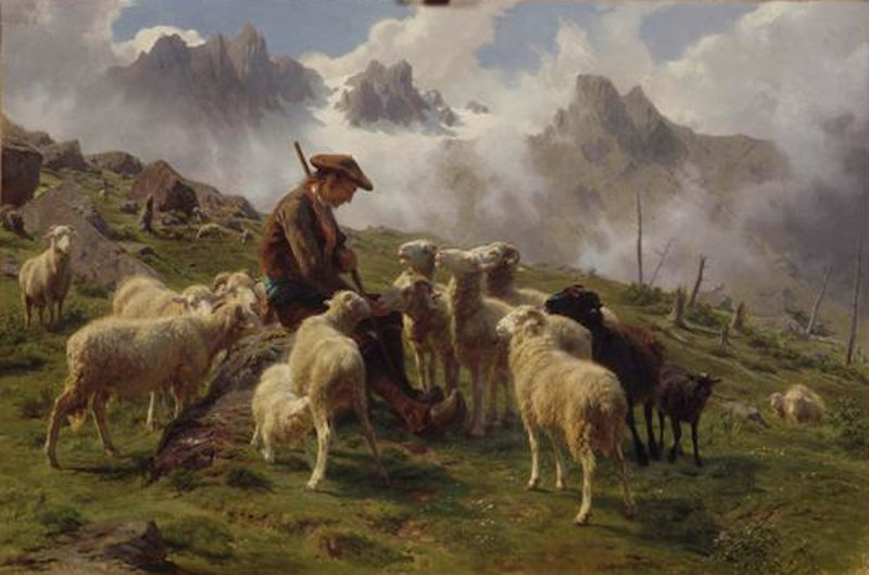 Rosa_Bonheur_berger donnant du sel à ses moutons