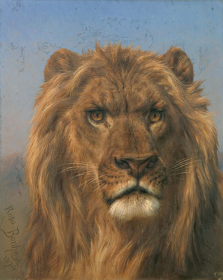 2 Rosa Bonheur  Portrait de lion  1879