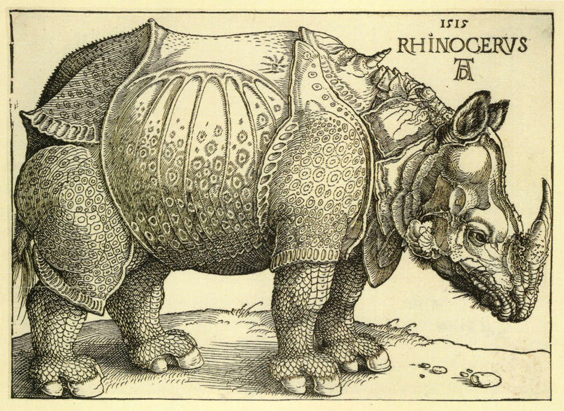 6 Durer Rhinoceros