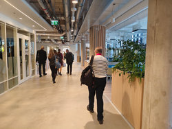 Estonie Tallinn Wise 3